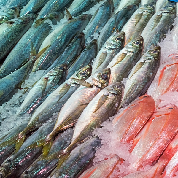 F106 - C Fresh Agro – Ocean Fresh Seafood & Premium Fruits