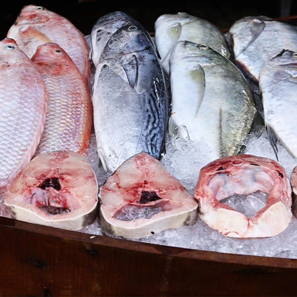 F107 - C Fresh Agro – Ocean Fresh Seafood & Premium Fruits