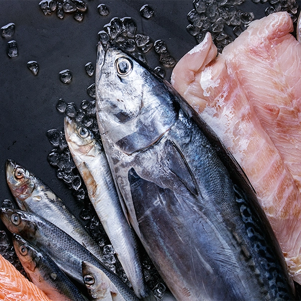F108 - C Fresh Agro – Ocean Fresh Seafood & Premium Fruits