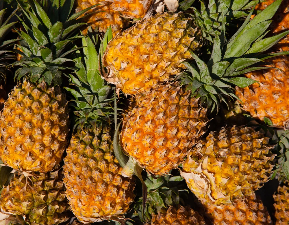 Naturally sweet fruit