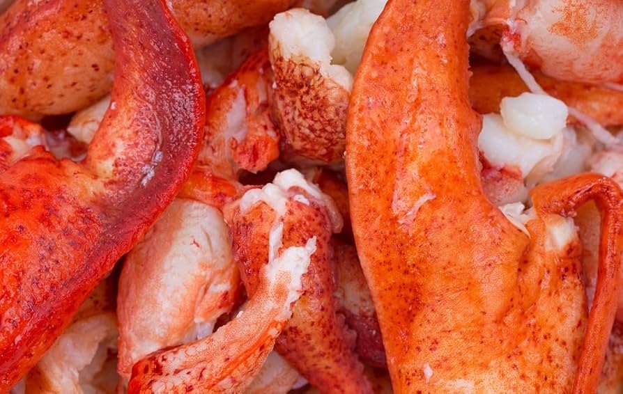 Canadian Lobster Meat from C Fresh Agro in Vancouver
