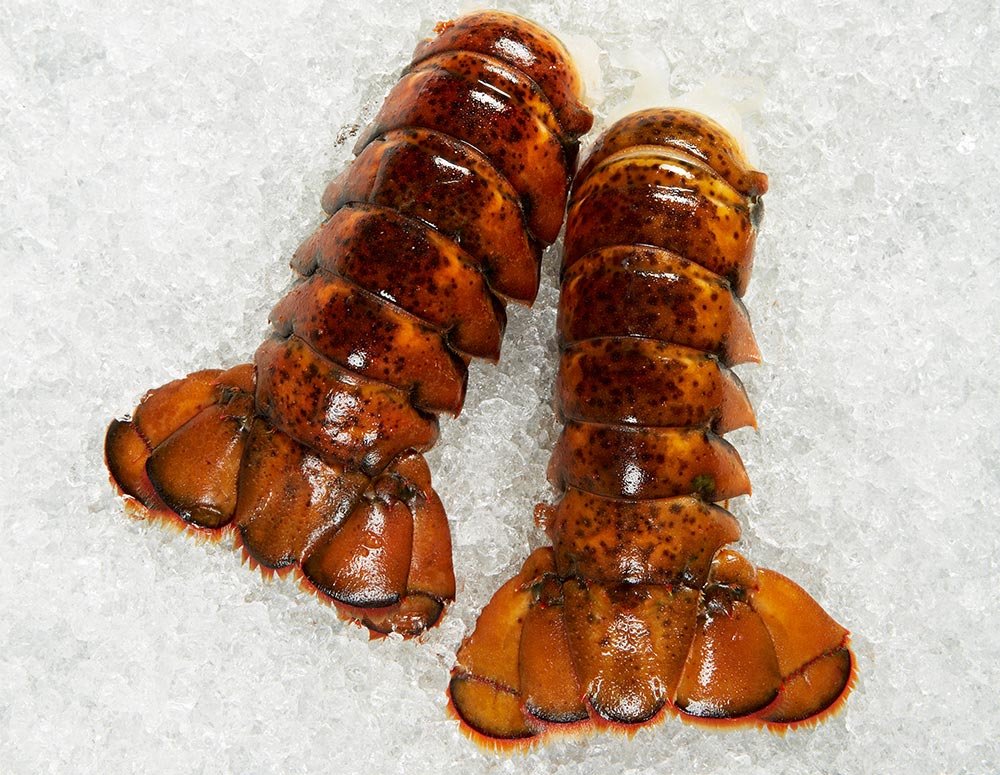 Canadian Lobster Tail from C Fresh Agro in Vancouver