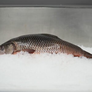 Rohu from C Fresh Agro in Vancouver