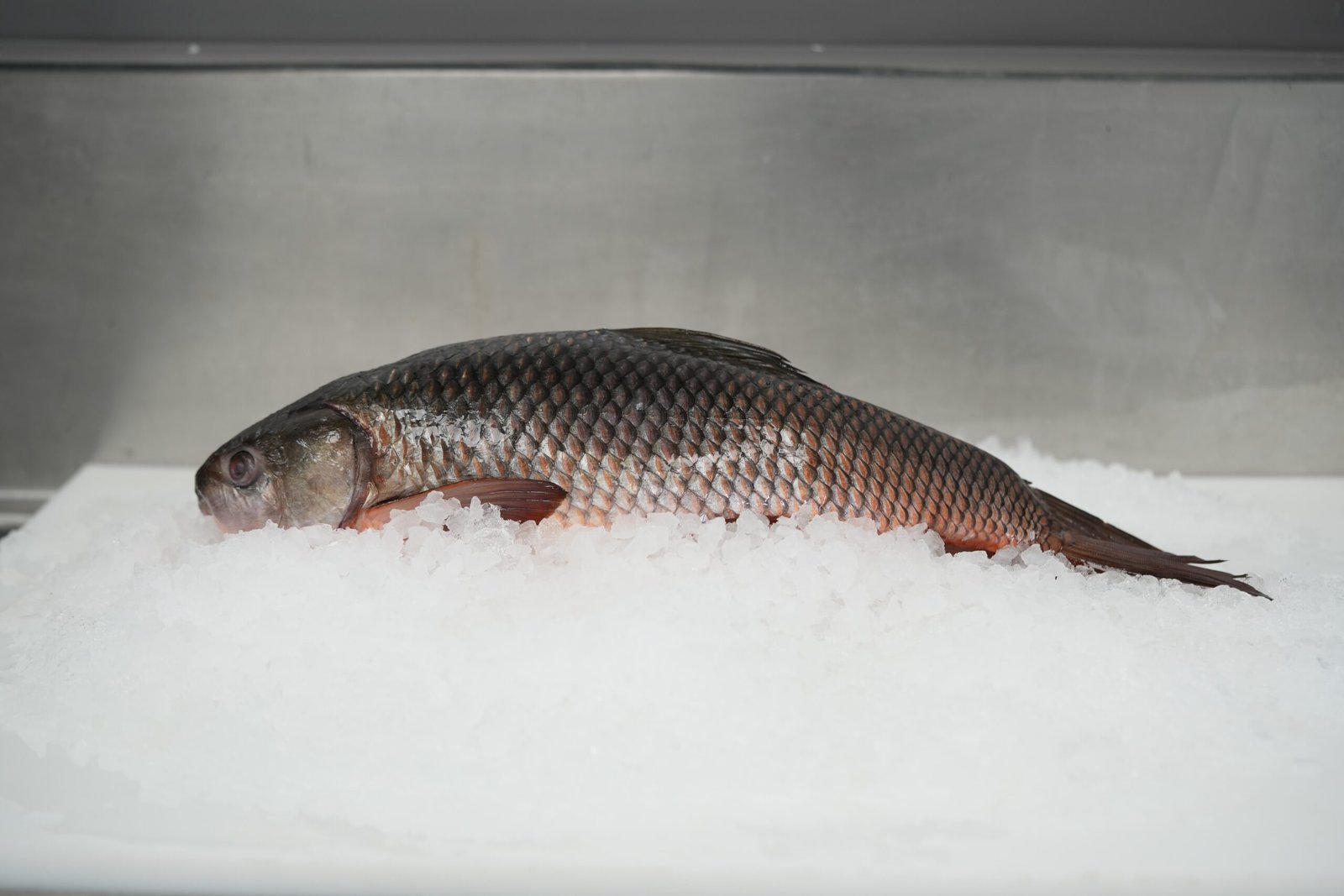 Rohu from C Fresh Agro in Vancouver