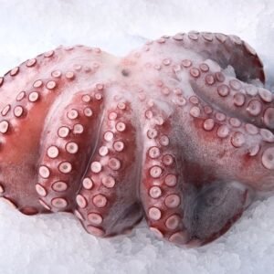 Frementle Octopus from C Fresh Agro in Vancouver