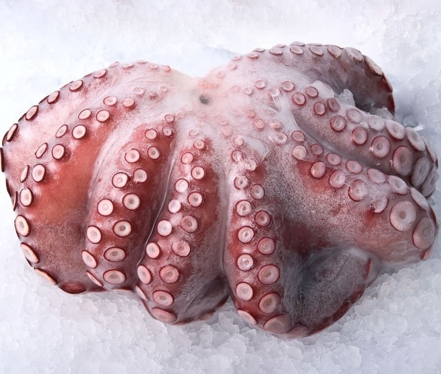 Frementle Octopus from C Fresh Agro in Vancouver