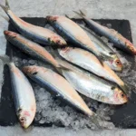 Sardine Head Cleaned from C Fresh Agro in Vancouver