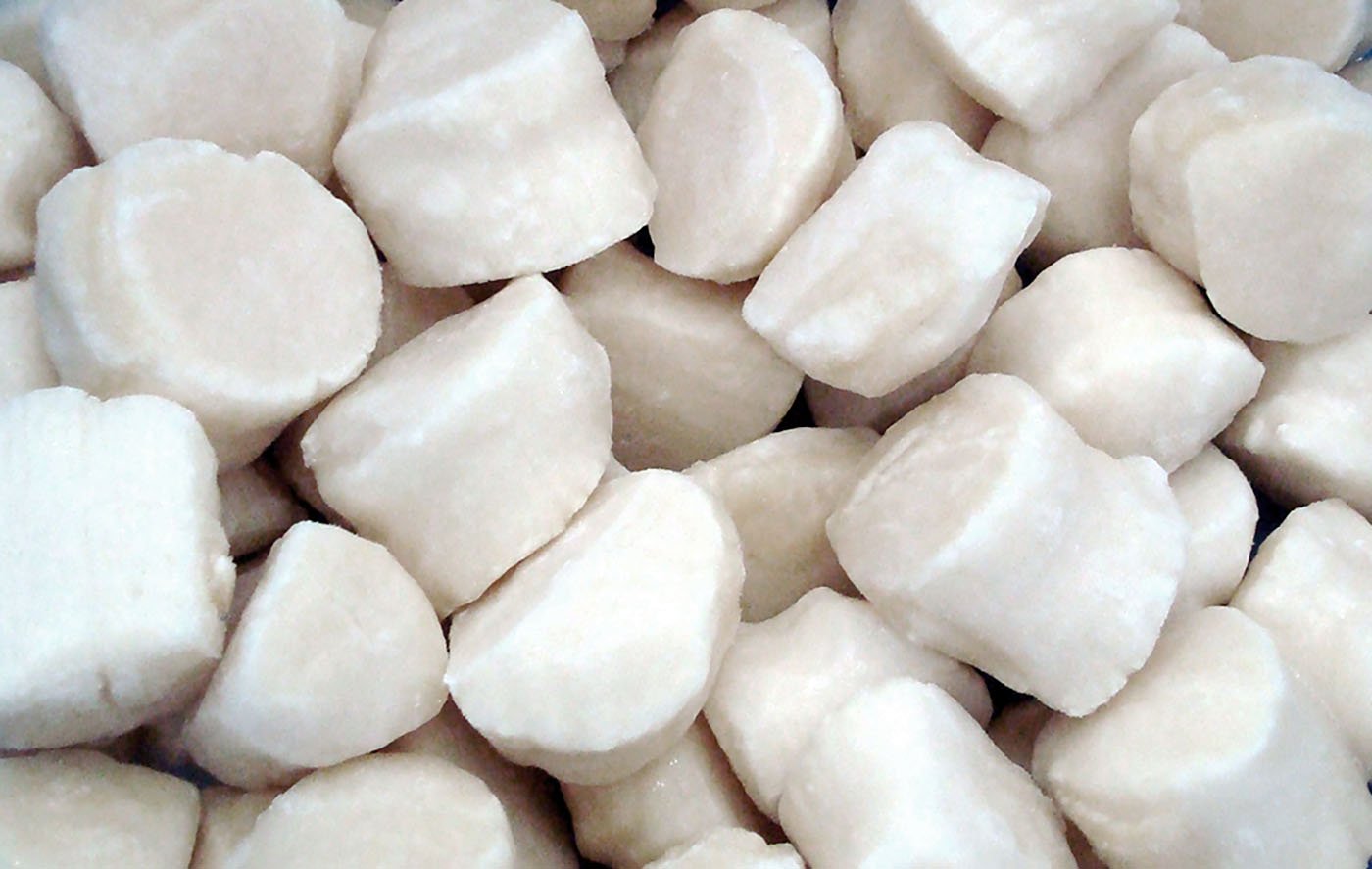 Scallops from C Fresh Agro in Vancouver