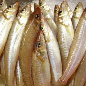 Silver Whiting from C Fresh Agro in Vancouver