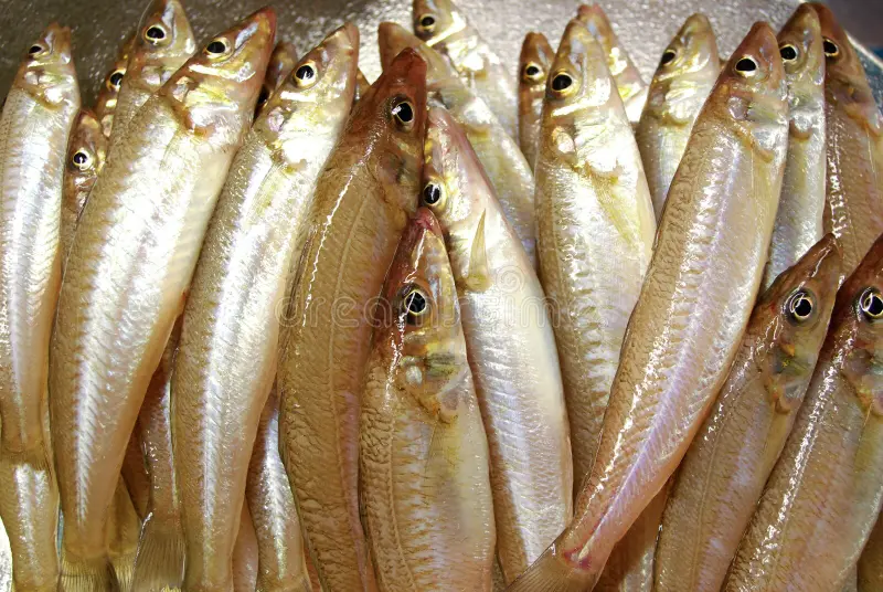 Silver Whiting from C Fresh Agro in Vancouver