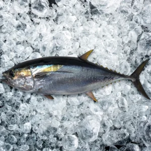 Best Seafood for Curry, Frying, Grilling, and Steaming - Flavor and Convenience