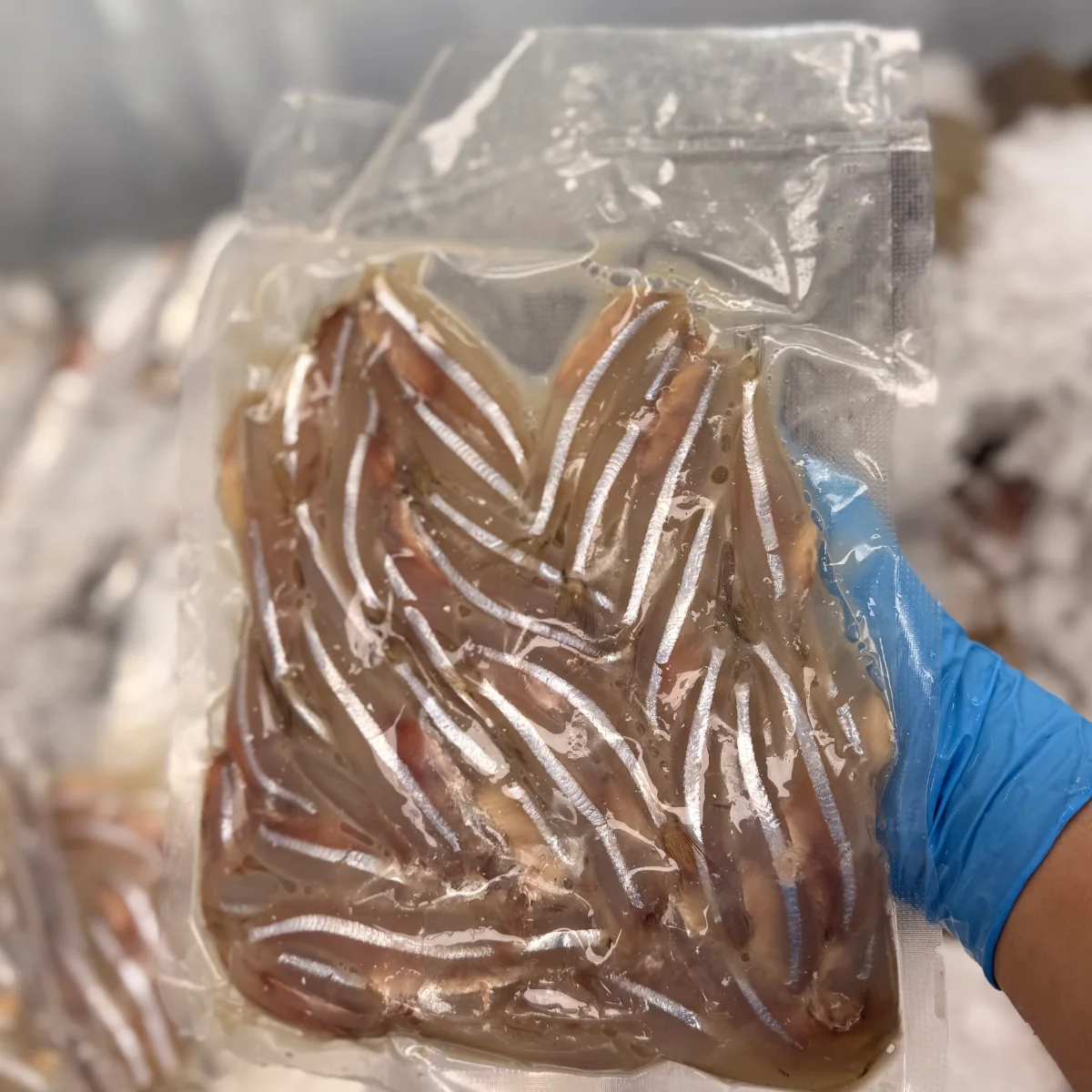 Anchovies from C Fresh Agro in Vancouver