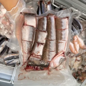 Barracuda from C Fresh Agro in Vancouver