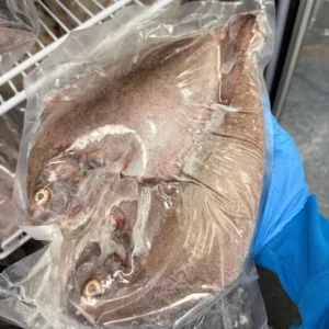 Black Pomfret from C Fresh Agro in Vancouver