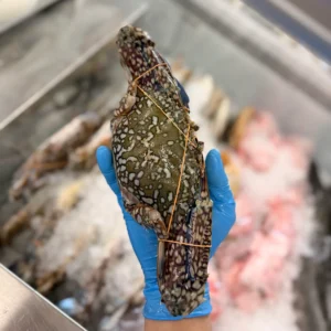 Blue Crab from C Fresh Agro in Vancouver
