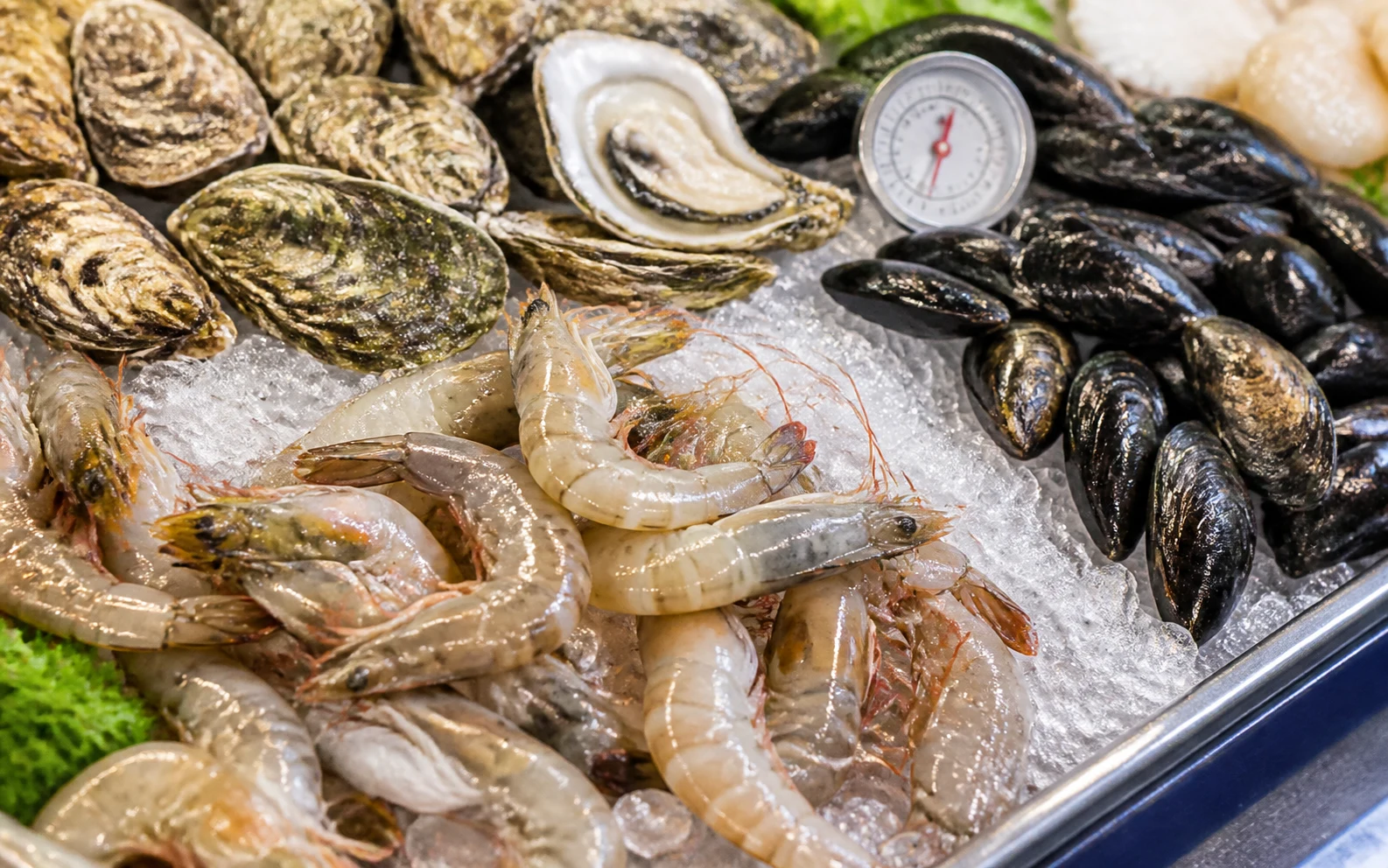 Shrimp Buying Guide: Size, Shell, Tail, and Freshness - What to Check Before Buying