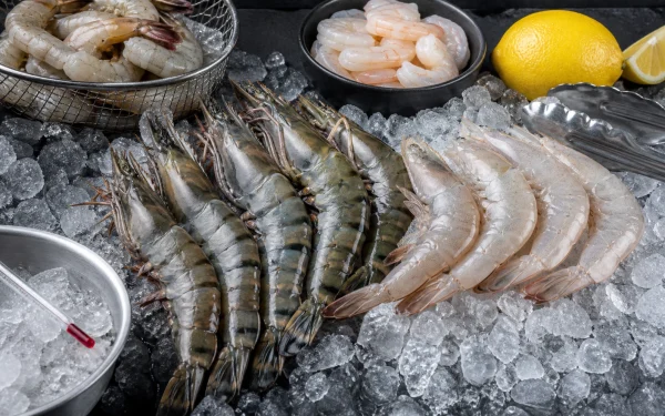 Shrimp Buying Guide: Size, Shell, Tail, and Freshness - Understand Shrimp Labels