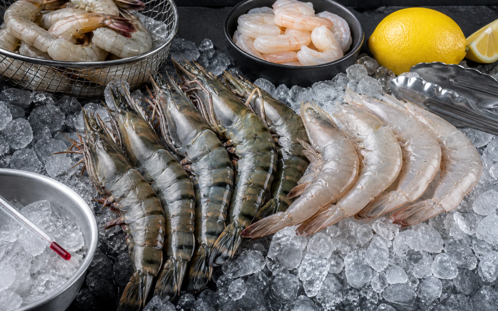 Shrimp Buying Guide: Size, Shell, Tail, and Freshness - Understand Shrimp Labels