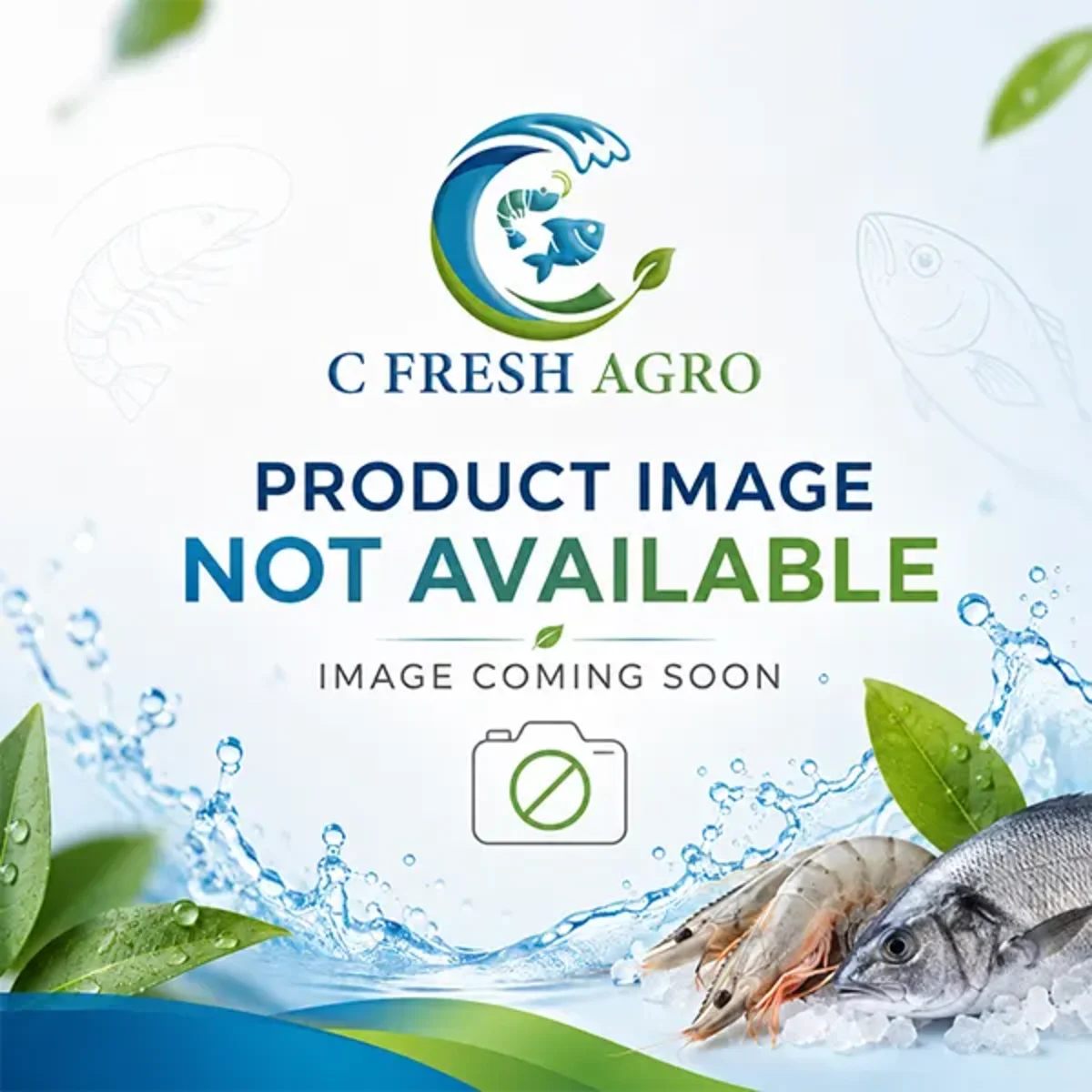 Dried Tuna from C Fresh Agro in Vancouver