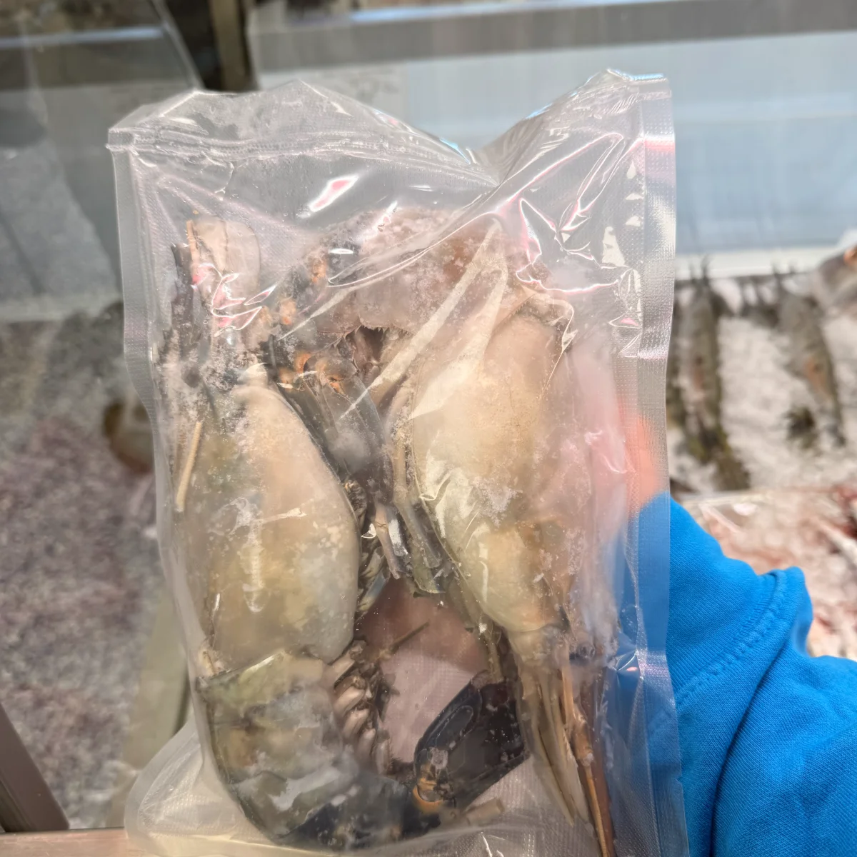 SCAMPI from C Fresh Agro in Vancouver