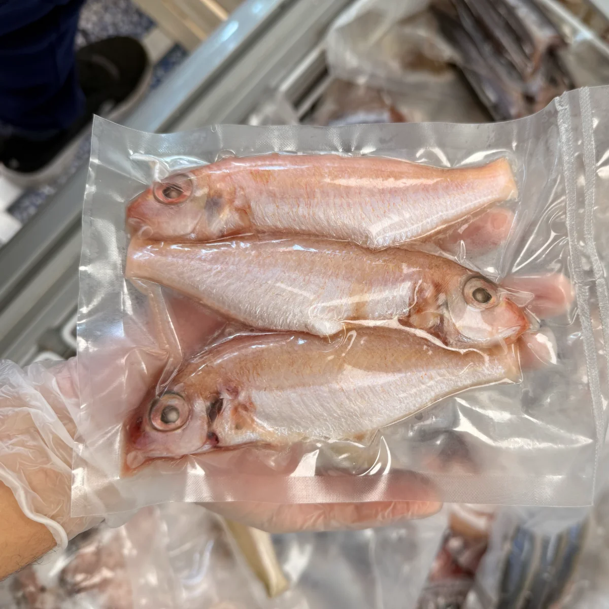 THREAD BREAM from C Fresh Agro in Vancouver