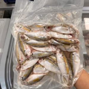 Yellow Strip Scad from C Fresh Agro in Vancouver