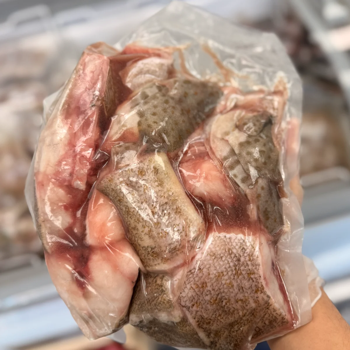 Grouper Portions from C Fresh Agro in Vancouver