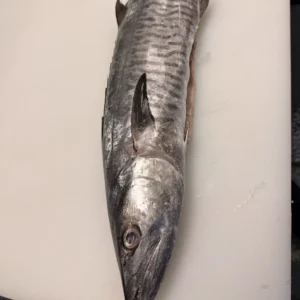 King Fish from C Fresh Agro in Vancouver
