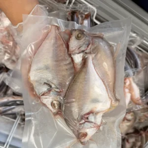 PONY FISH from C Fresh Agro in Vancouver