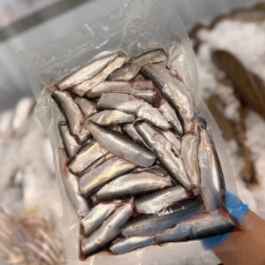 Sardine Head cleaned from C Fresh Agro in Vancouver