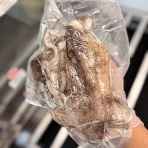 Thondi Squid Block from C Fresh Agro in Vancouver